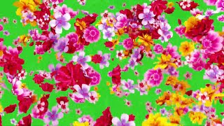 10 Flowers Transition Pack Animation Green Screen || FREE USE || by Green Pedia