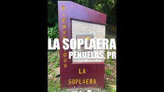 La Soplaera - Peñuelas, Puerto Rico (4K)