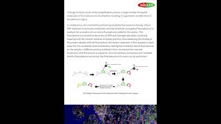 BD single cel Absin mIHC in brain tumor microenvironment #microenvironment #mIHC #lifescience