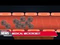 Korean researchers develop stem cell microrobot for medical use