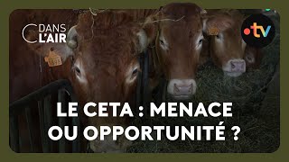 Les conséquences du CETA sur les filières agro-alimentaires - Reportage #cdanslair 15.11.2024