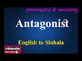 Antagonist - Sinhala Meaning with Pronounce සිංහල තේරුම උච්ඡාරණය සමඟ | Dilfinity Dictionary