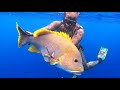 Indonesia Travel & Spearfishing: THE QUEST 3!!!!