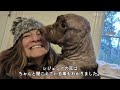 耳を食いちぎられた犬。助けてくれた女性に見せた笑顔に涙があふれる【感動】