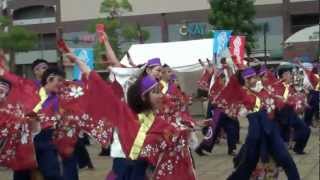 ハマこい2012 祭・WAIWAIよこはま 2回目