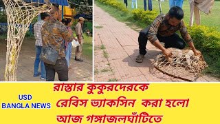 রাস্তার কুকুরদের কে রেবিস ভ্যাকসিন করা হলো আজ গঙ্গাজল ঘাঁটিতে // USD BANGLA NEWS