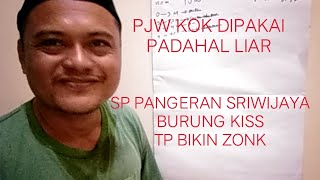 SP PJW LIAR KOK MASIH DI PAKAI,SP PANGERAN SRIWIJAYA BURUNG KISS TP BIKIN GEDUNG ZONK