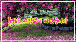 [ridding] 배롱나무꽃이 아름다운 논산향교-돈암서원-명재고택 - 올해도 어김없이 피었습니다