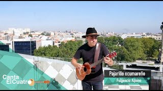 Edward Ramírez - Pajarillo ocumareño (Canta el cuatro)