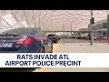 Atlanta police evacuate airport precinct due to dead rat