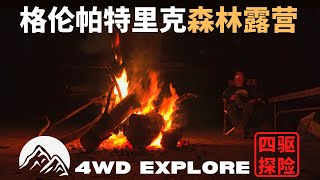 【沉浸式露营】Glenpatrick森林露营，在林间放松自己，感受大自然！Camping in the forest！