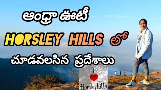 Andhra Ooty Horsley Hills Full Tour Vlog In Telugu | Budget | Madanapalle | The Abhi Srinivas