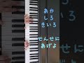 きくのはな ピアノ弾き歌い　作詞 立野 勇　作曲 本多 鉄麿　 ピアノ piano 伴奏　 花の歌　 保育士　 童謡