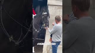 Witness this charming father son duo spread joy as they lovingly pat the King's Guard horse!