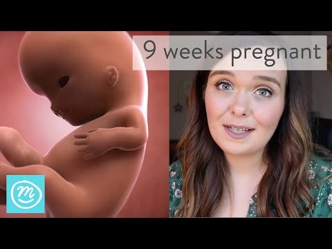 9 Weeks Pregnant: What To Expect - Channel Mum 9 Weeks Pregnant: What To Expect - Channel Mum