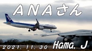 今日のＡＮＡさん　米子空港　２０２１，１１，３０