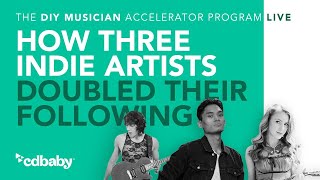 How three indie artists DOUBLED their following