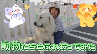 動物たちとふれあってみた