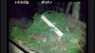 【SD】心霊スポット外配信　「八王子城跡」5　曳橋