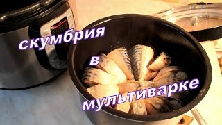 Скумбрия в мультиварке. Mackerel in multivarka.