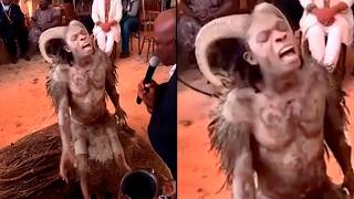Unidentified Creatures Filmed That Seem Impossible