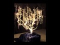 Natural Decor Design's Manzanita Branches Natural Decor Design's Manzanita Branches