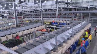 LIVE: Army of robots sorting out parcels during Singles' Day shopping festival