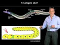 anthony hyman max planck institute part 1 how does complexity arise from molecular interactions