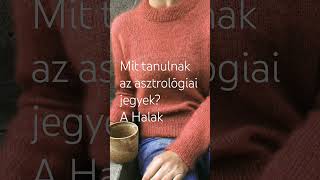 Mit tanulnak az asztrológiai jegyek? A Halak #asztrológia #halak