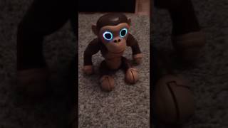 Zoomer chimp