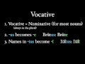 the vocative case