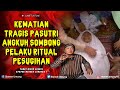 KISAH SERAM MENGERIKAN ❗❗ SERAKAH DAN SOMBONG PASUTRI INI TEWAS MENGENASKAN ❗❗ PODCAST HOROR