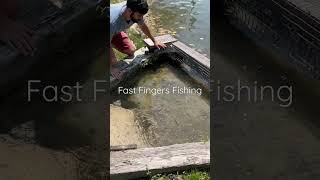 Secret Fish - (GRABBED) 😱#fishing #outdoors #crazy #primitive #survival #trending #