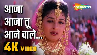 आजा आजा तू आनेवाले | Aaja Aaja Tu Aanewale (4K Video Song)| Rajkumar (1996) | Alka Yagnik Hit Song