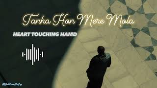 Heart Touching Emotional Kalam - Tanha Hon Mere Mola - Welldone Studios