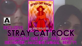 Stray Cat Rock Arrow Video Limited Edition Blu-ray Unboxing | 野良猫ロック | Alleycat Rock