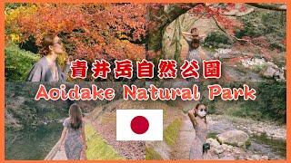 (ENG/JPN)青井岳自然公園 Aoidake Natural Park【ใบไม้เปลี่ยนสี ญี่ปุ่น】