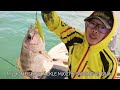 再次解锁慢铁敲底新品种！邦咯岛 pulau pangkor slow jigging 29 10 23