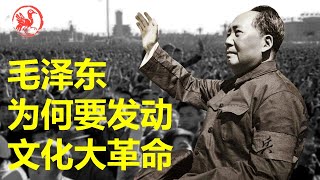 毛泽东为什么要发动文化大革命？
