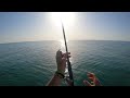 kayak fishing in italian adriatic sea lots of fish with metal jigs sea breams and mackerels c u0026r