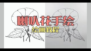 小白也能轻松上手～牵牛花手绘教程