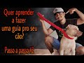 Como fazer uma guia PARACORD top para seu cão #2