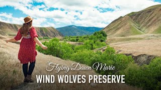 VLOG 173: Wind Wolves Preserve in the Central Valley (Bakersfield, CA)