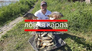 Ловля карпа  где, как и на что ловить