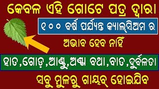 ଏହି ଗୋଟେ ପତ୍ର ର ସେବନ ଦ୍ବାରା ଆପଣଙ୍କୁ ଜୀବନରେ କେବେବି କେଉଁ ବି ରୋଗ ହେବ ନାହିଁ ୧୦୦ % ସତ