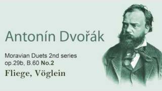 Dvorak - Fliege, Vöglein op.29b no.2.wmv