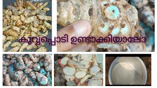 ശുദ്ധമായ കൂവ പൊടി വീട്ടിൽ തയ്യറാക്കാം |Homemade Arrowroot power|