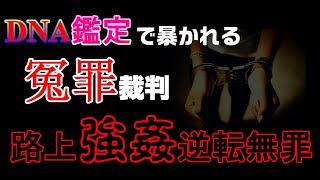 冤罪⁉逆転無罪の真相〔路上強姦逆転無罪事件〕#Shorts