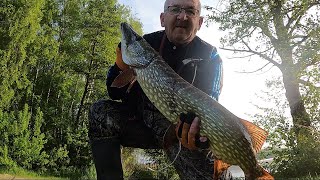 Pogoda, ciśnienie i szczupak