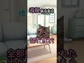 毒親あるあるを猫ミームにしてみた ママに感謝 shorts 毒親あるある 猫ミーム